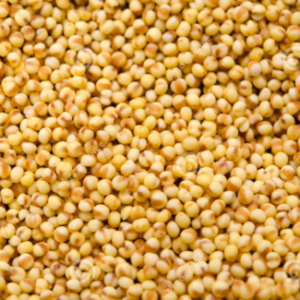 Foxtail Millet / Thinai 500gr