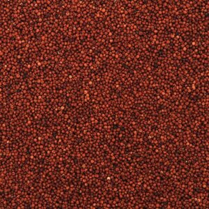 Finger Millet / Ragi 500 gr
