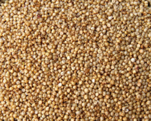 Sorghum / Cholam  500 gr